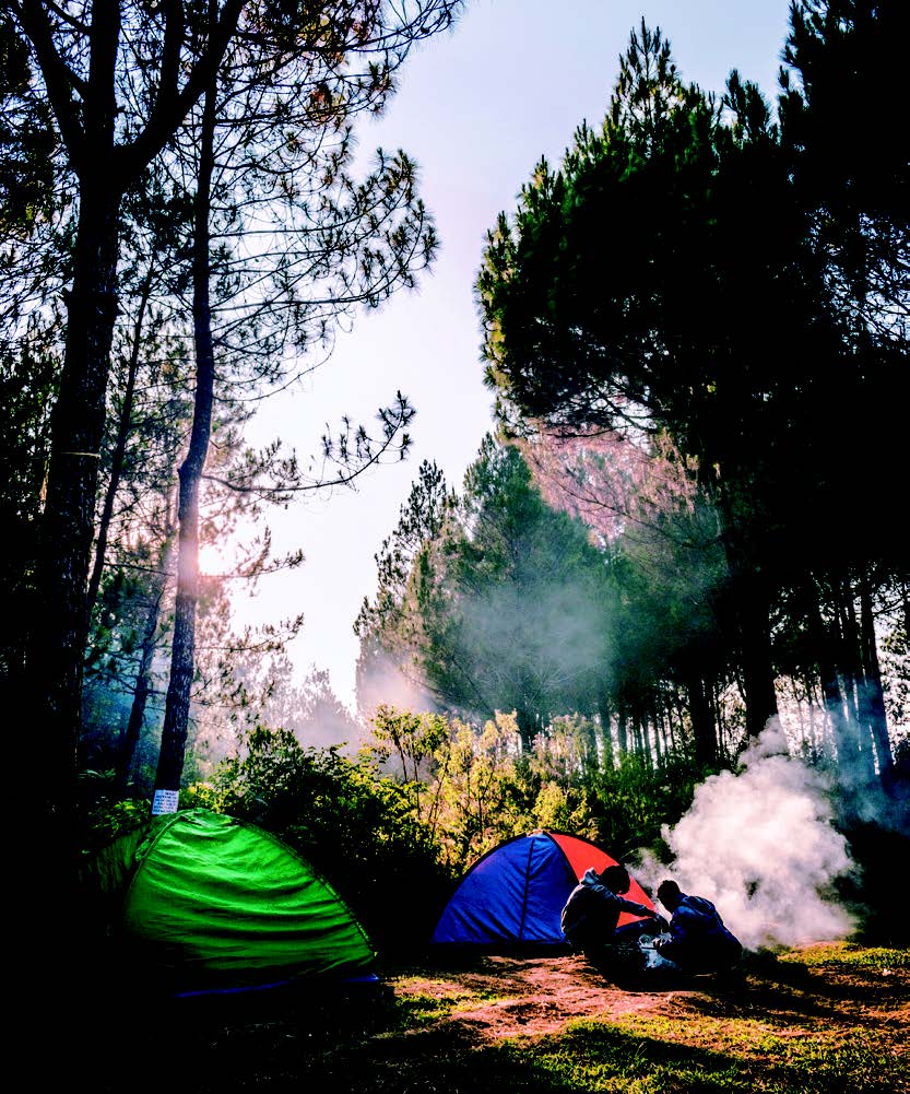 Camping dans la forêt