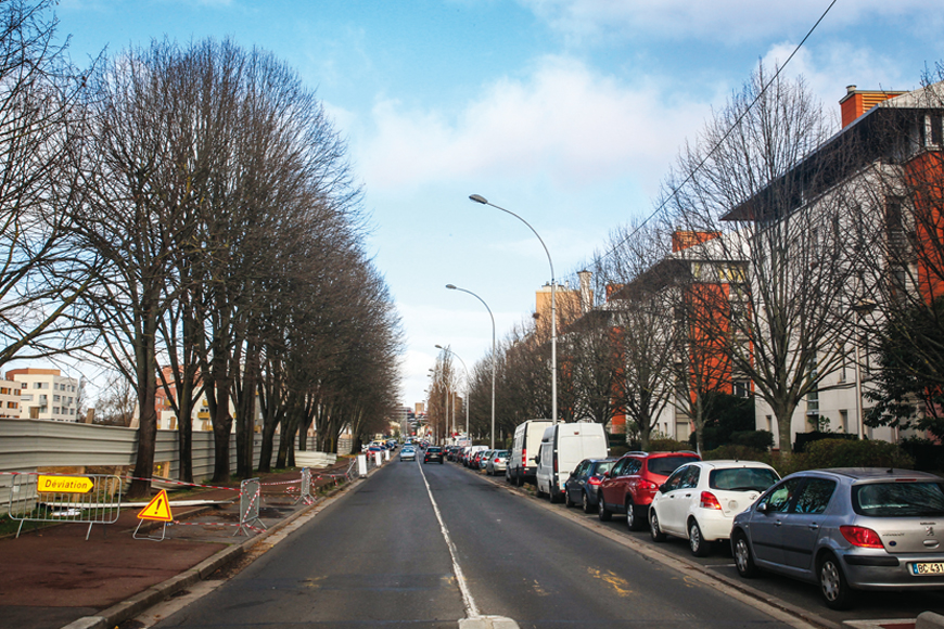 Les arbres de la rue Déménitroux seront replantés