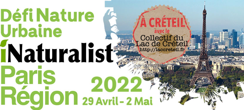 Défi nature urbaine 2022 à Créteil 