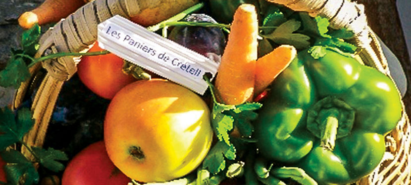 Fruits et légumes dans un panier