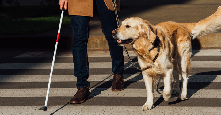 Photo d'une personne non-voyante avec un chien guide traversant sur un passage piéton