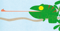 Illustration d'une grenouille attrappant un insecte avec sa langue