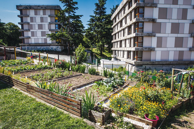 Photo d'un jardin et d'immeubles de Créteil