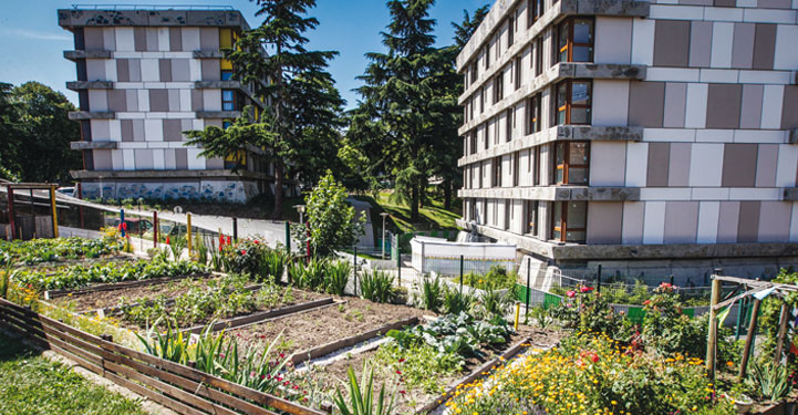 Photo d'un jardin et d'immeubles de Créteil